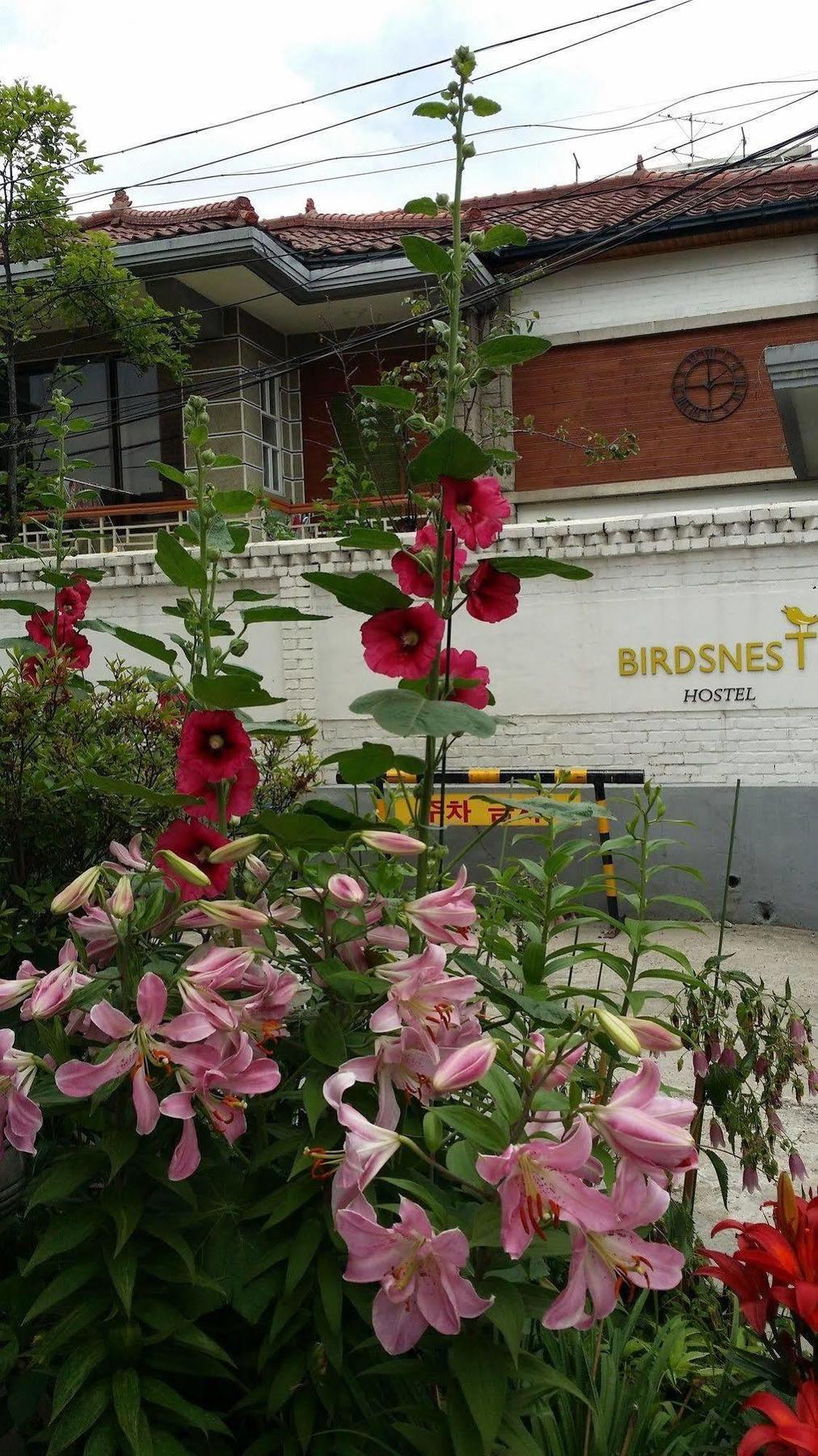 Birdsnest Hostel Hongdae Foreigner Only Σεούλ Εξωτερικό φωτογραφία